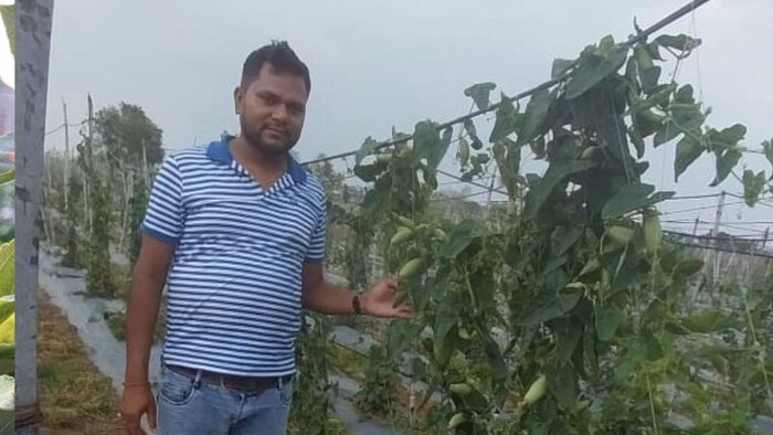 अपने फार्म में खड़े सचिन झा फोटोः किसान तक