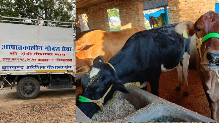 इस गौशाला में गाय को मिलती है सभी सुविधाएं फोटोः किसान तक