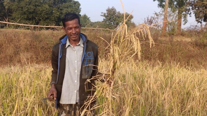 पीएम किसान की 14वीं किस्त से वंचित रह जाएंगे झारखंड के किसान फोटोः किसान तक