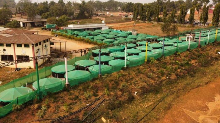 निशांत के फार्म में लगे बॉयोफ्लॉक टैंक फोटोः किंग फिशरीज