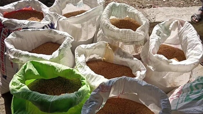 बाजार में गेहूं के दाम में बढ़ोतरी देखी जा रही है