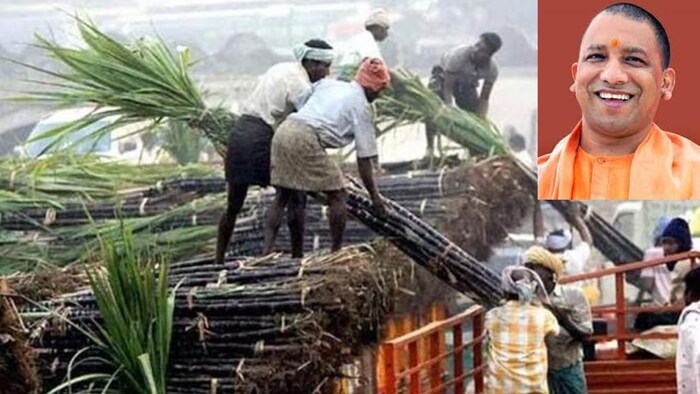 एफआरपी बढ़ने से 5 करोड़ गन्ना किसानों को होगा लाभ