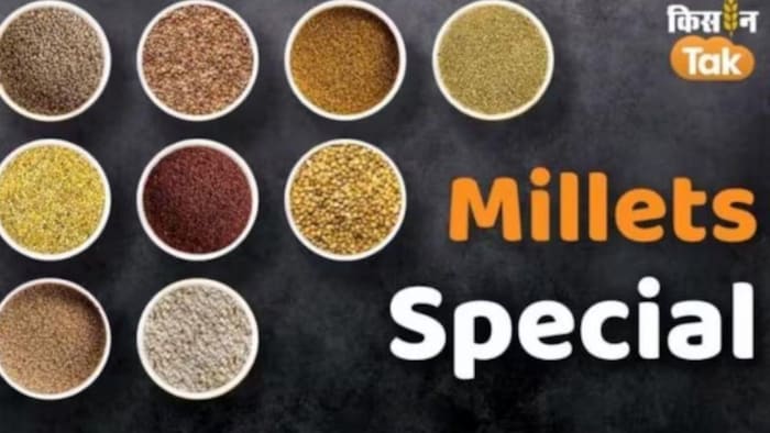 बिहार के गया जिले में बनेगा मोटे अनाज का सेंटर ऑफ एक्सीलेंस