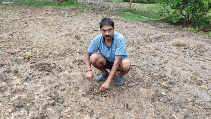 किसान आशीष कुमार सिंह तीन साल से काली हल्दी की खेती से कर रहे हैं. फोटो किसान तक