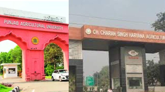 NIRF रैंकिंग के टॉप 10 में शामिल हुए HAU और PAU