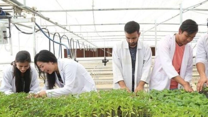 छात्र 12वीं के बाद करें ये 5 एग्रीकल्चर कोर्स, (सांकेतिक तस्वीर)