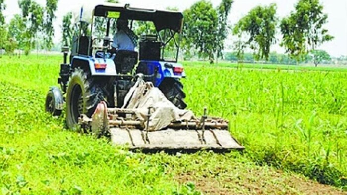 पंजाब सरकार ने फसलों के प्रबंधन के लिए सलाहकार किया नियुक्त, (सांकेतिक तस्वीर)