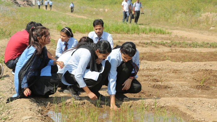 कृषि क्षेत्र में नौकरी