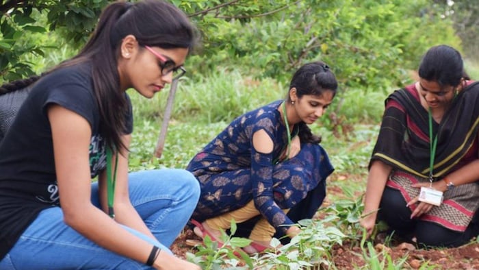 विदेशों में एग्रीकल्चर जॉब, (सांकेतिक तस्वीर)