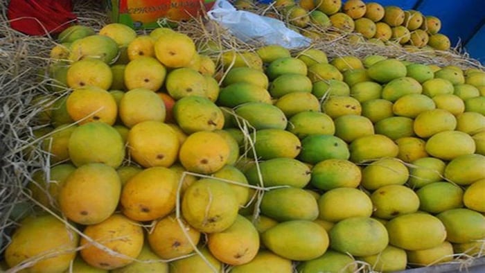 बनारसी लंगड़ा आम दुबई किया जाएगा एक्सपोर्ट, सांकेतिक तस्वीर