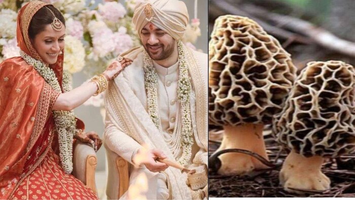 ये है दुनिया की सबसे मंगही सब्जी