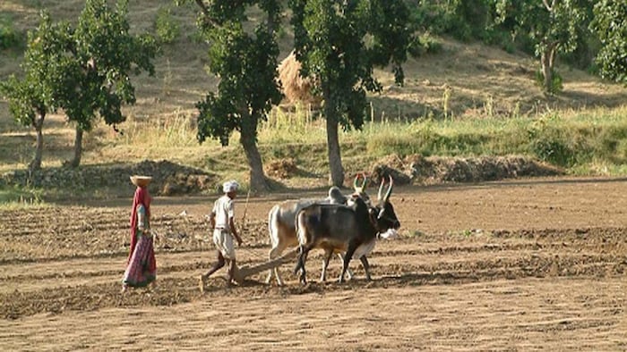 क्या होता है खसरा और खतौनी
