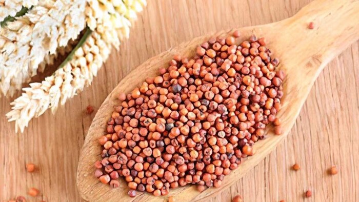 इस मॉनसून रागी की इन किस्मों से करें बंपर उत्पादन