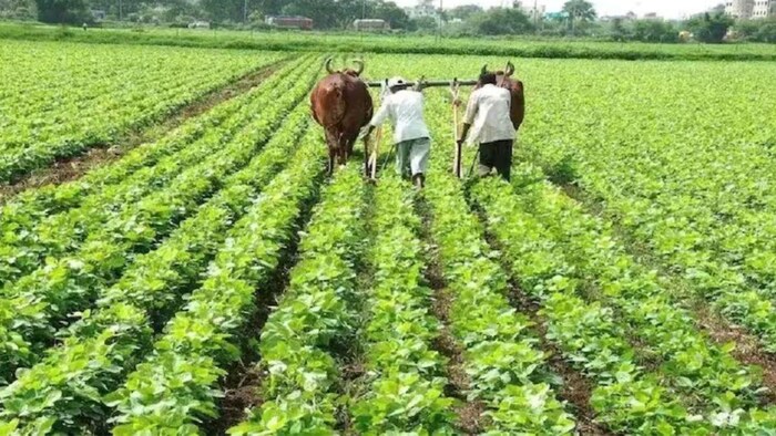 जैविक उत्पादों को मिलेगा और बढ़ावा