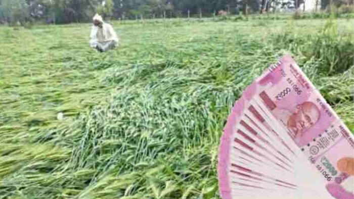 किसानों के खाते में भेजे 181 करोड़, (सांकेतिक फोटो)