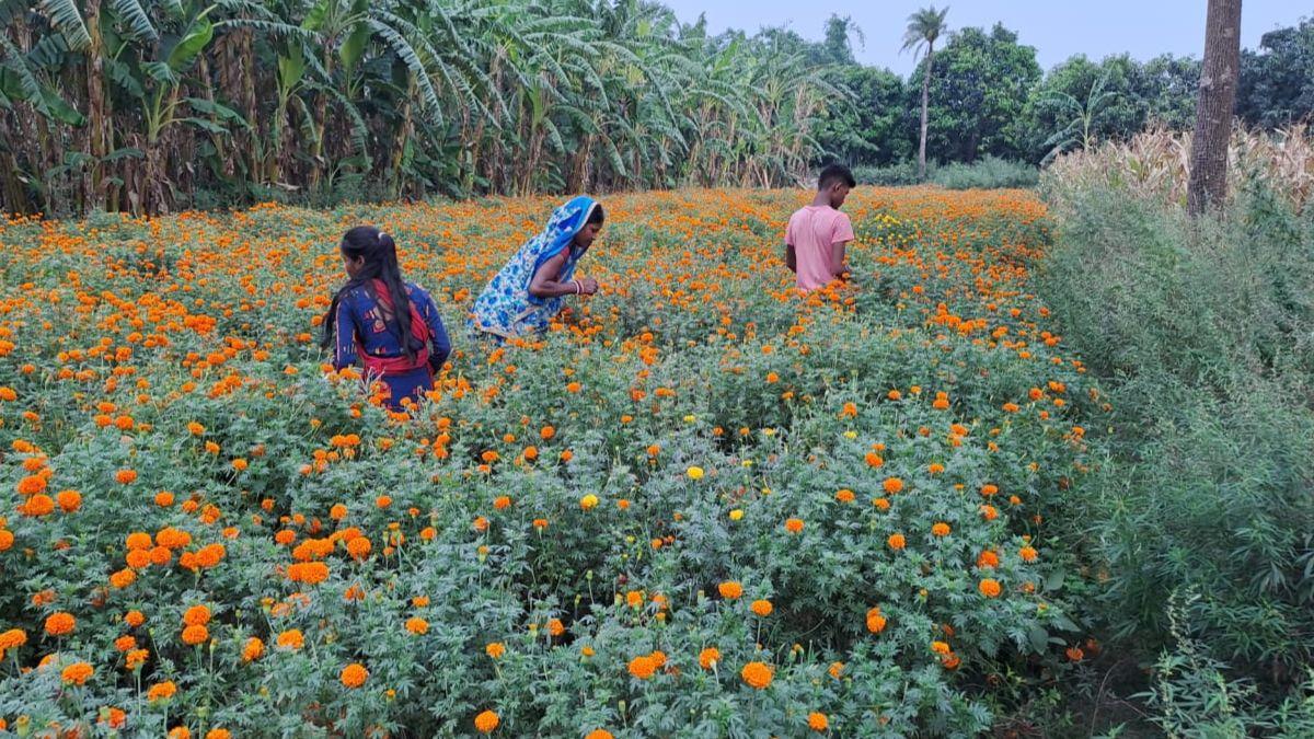 मुजफ्फरपुर में दर्जनों महिलाएं कर रहीं है फूल की खेती