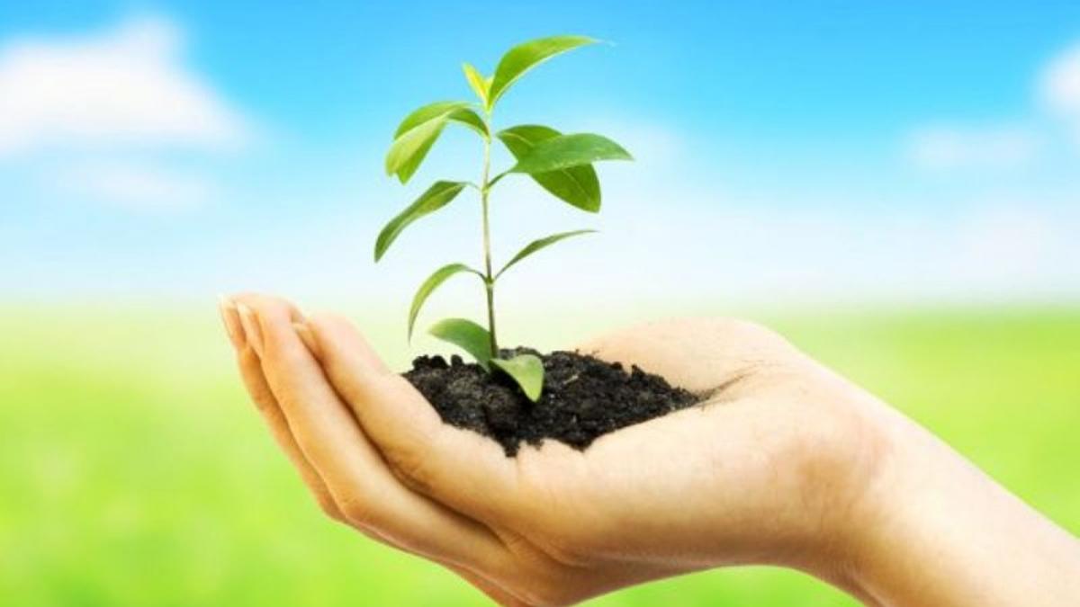 Plantation record: उत्तर प्रदेश में ग्राम्य विकास विभाग पौधारोपण के बाद 2 वर्षों तक करेगा उनकी सुरक्षा