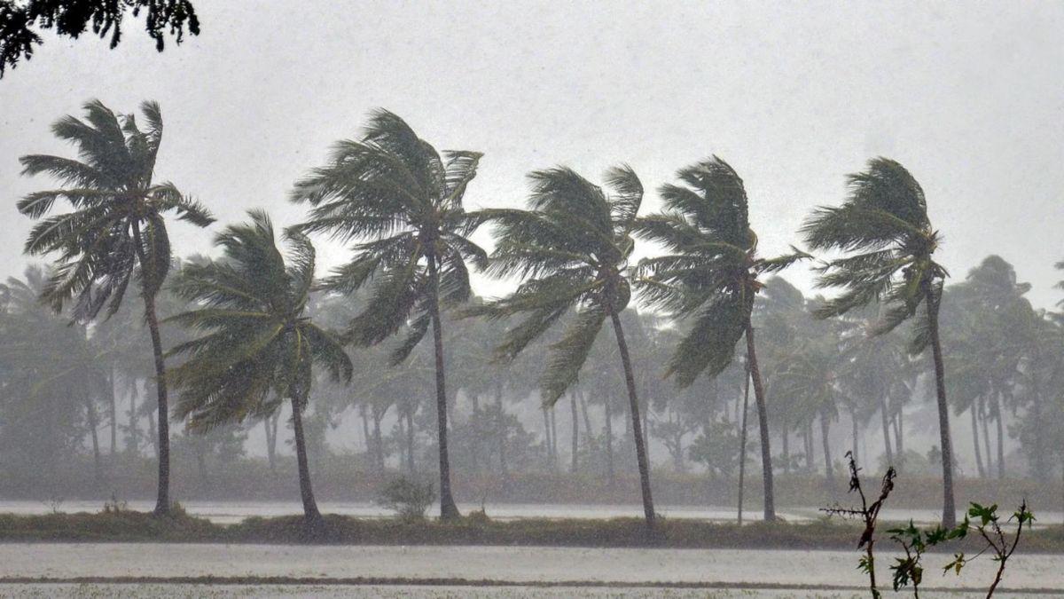 Weather: 26 जून तक इन राज्यों में होगी झमाझम बारिश, किसानों को मिलेगी राहत, पढ़ें पूरा अपडेट