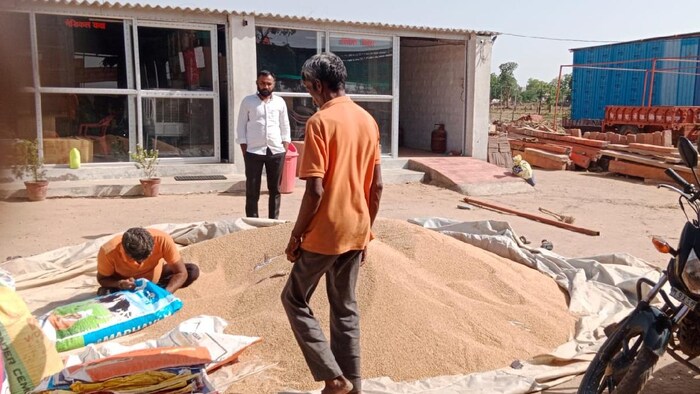 देश में इस बार गेहूं का उत्पादन घटने की आशंका है