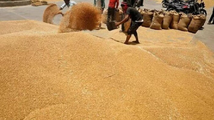 सरकार ने तय की गेहूं की स्टॉक लिमिट