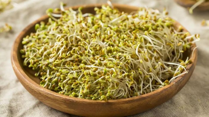 क्या है अल्फाल्फा और इसकी खासियत