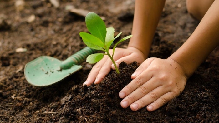 शहीदों के सम्मान में बनाई जाएगी अमृत वाटिका