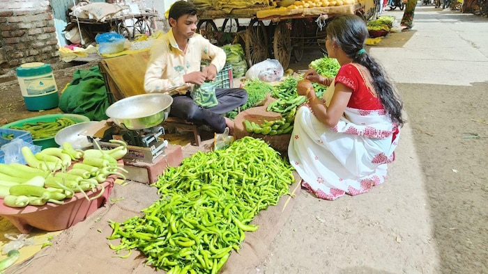 आने वाले समय में 200 रुपये किलो तक जा सकता है मिर्च का भाव