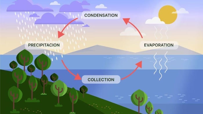 जलवायु परिवर्तन से बदल रहे मौसम चक्र का खेती पर कुछ यूं पड़ रहा है असर, फोटो: साभार, फ्रीपिक