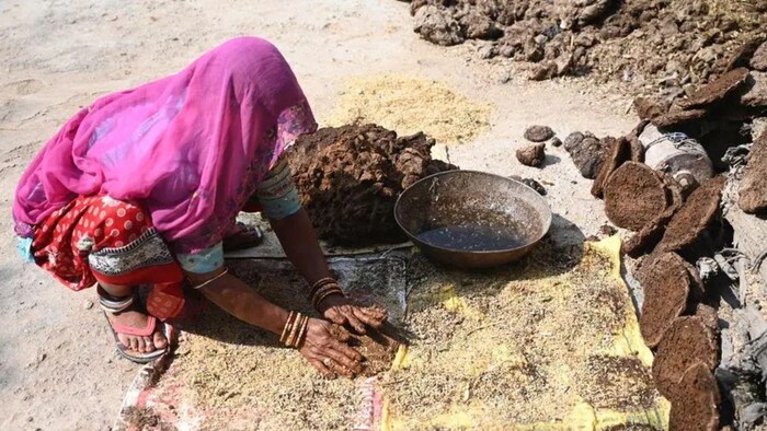 गाय के गोबर से बनाएं ये उत्पाद