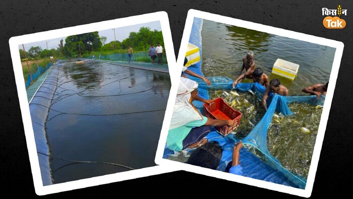 देवरिया में बायोफ्लॉक विधि से मछली पालन हो रहा है