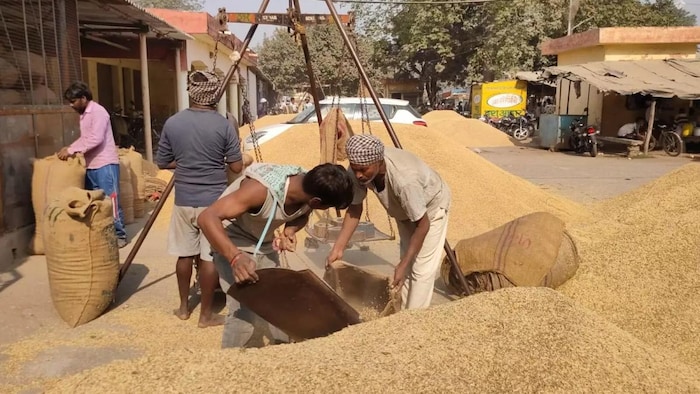 धान खरीद के लिए 1 अक्टूबर की तिथि घोषित