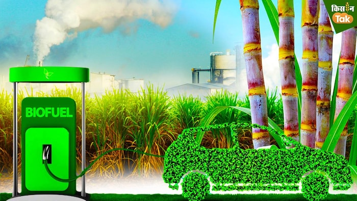 क्या है इथेनॉल, कैसे चलती है इससे गाड़ियां? GFX: संदीप भारद्वाज