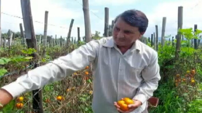 टमाटर किसान जयराम