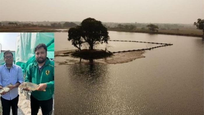 किगिशिरीज फार्म स्थित आरएफएफ फोटोः किंगफीशरीज