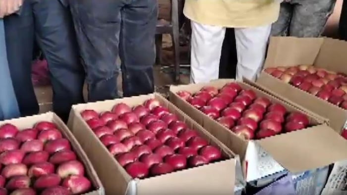 हिमाचल प्रदेश के सोलन में उगाई गई सेब की गाला वैरायटी