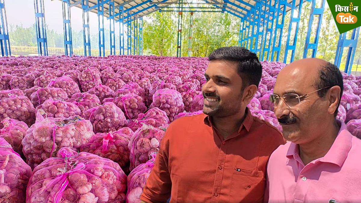 Garlic लहसुन खरीदने कश्मीर आ रहे गुजरात के व्यापारी, डायरेक्टर