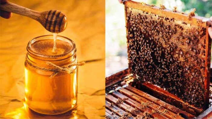 शहद की प्रोसेसिंग यूनिट लगाने पर बिहार सरकार दे रही सब्सिडी