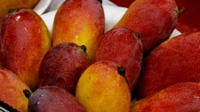 हुस्न आरा आम