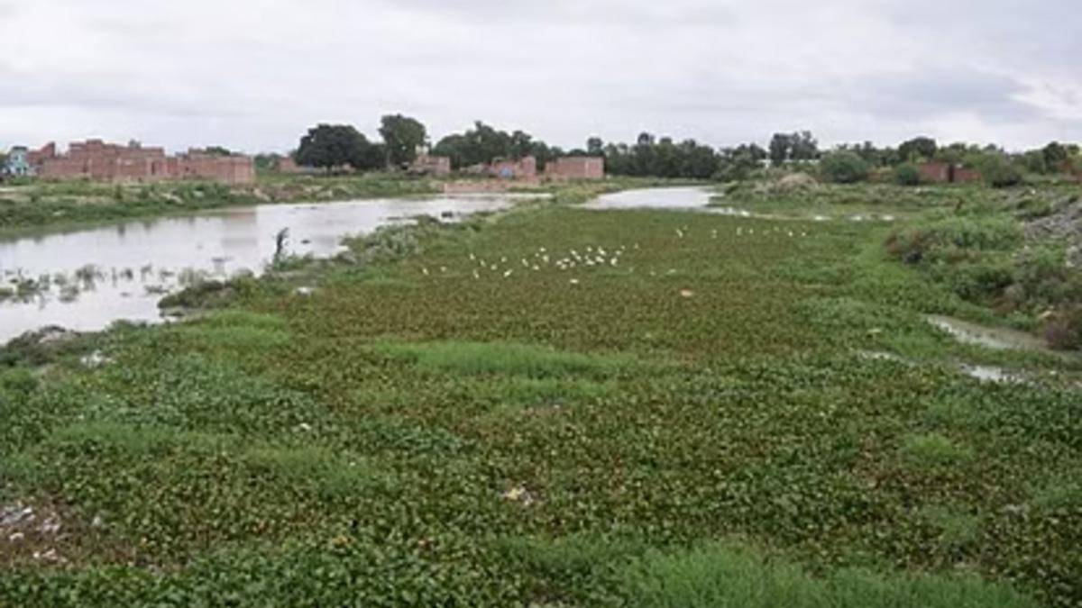 ईशन नदी का प्रदूषित पानी 