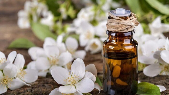 कैसे तैयार होता है चमेली का तेल