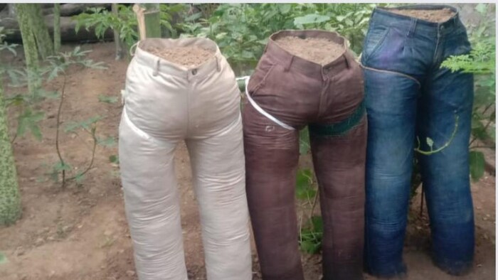 जीन्स का इस्तेमाल कर बनाए गए गमले फोटोःकिसान तक