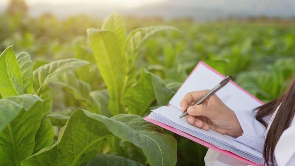 Agriculture Education: सेंट्रल एग्रीकल्चर यून‍िवर्स‍िटी से करें पढ़ाई, कर‍ियर को म‍िलेगी नई उड़ान