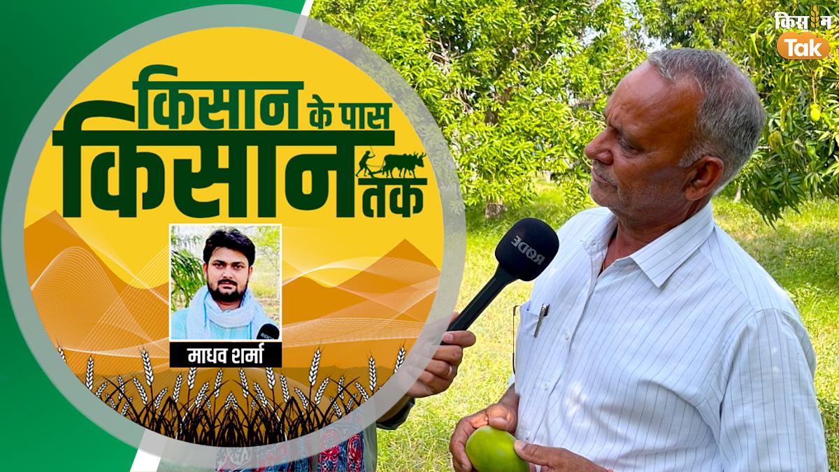 किसान के पास किसान तकः मिलिए पूरी तरह ऑर्गेनिक आम उगाने वाले किसान बाबूलाल से