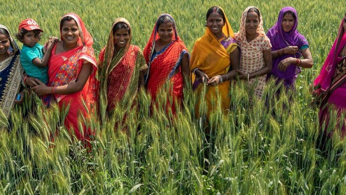 PM Kisan Yojana: इन दिनों किसानों के खाते में आएगी 14वीं किस्त