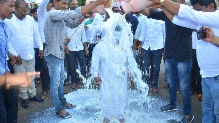 किसान सड़कों पर दूध गिराकार आंदोलन करते हुए ( photo kisan tak)