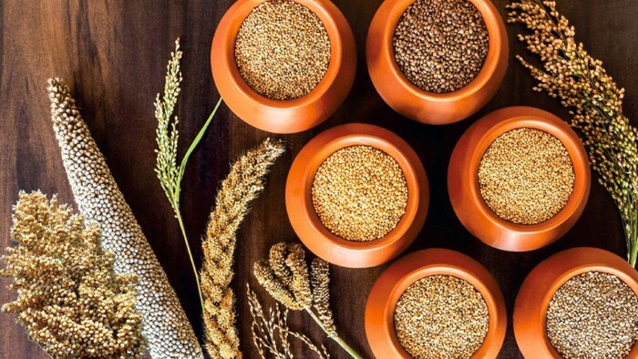 मोटे अनाज पर हुआ सर्वे