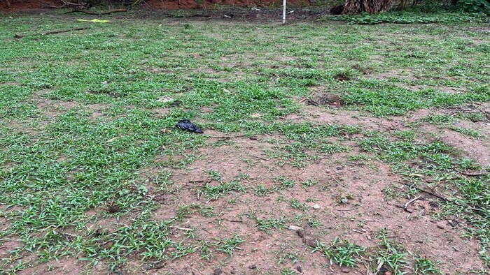 पानी की कमी के कारण सूख रहे खेत फाइल फोटोः किसान तक