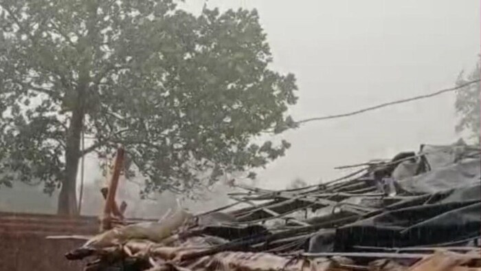 ओडिशा में कम हुआ सूखे का खतरा फाइल फोटोः किसान तक