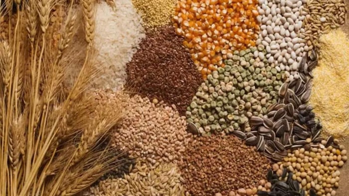 यूपी में बटने लगी मोटे अनाज की किट