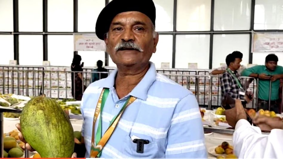 Biggest mango: कभी देखा है 5 किलो का विशालकाय आम, मध्यप्रदेश में इस जगह पर होती है इस ख़ास किस्म की पैदावार Biggest mango: कभी देखा है 5 किलो का विशालकाय आम, मध्यप्रदेश में इस जगह पर होती है इस ख़ास किस्म की पैदावार